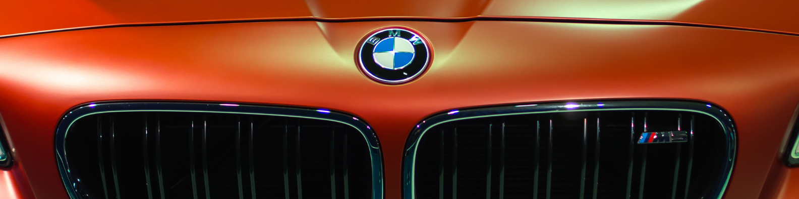 BMW Orange Front end