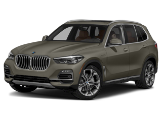 BMW X5 BMW of Grand Blanc in Grand Blanc MI