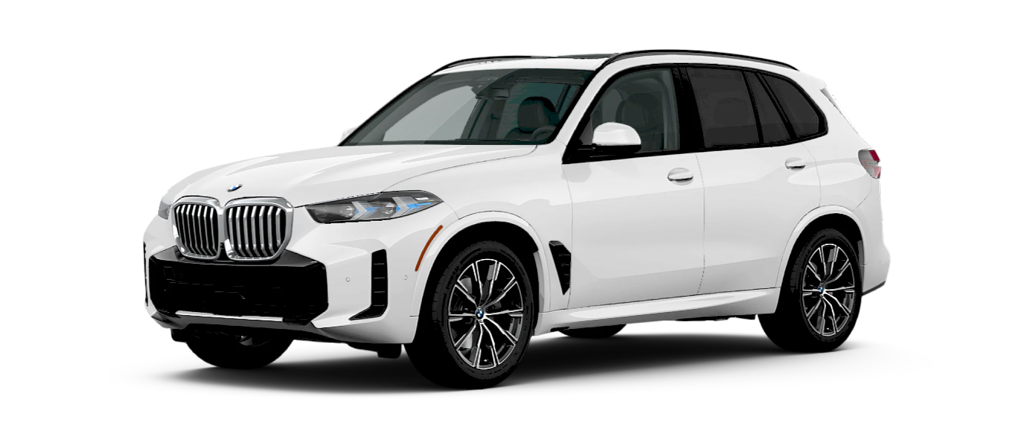 X5 Sports Activity Vehicle