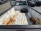 2008 Ford F-150 FX2