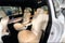 2025 Mercedes-Benz GLS GLS 450 4MATIC®