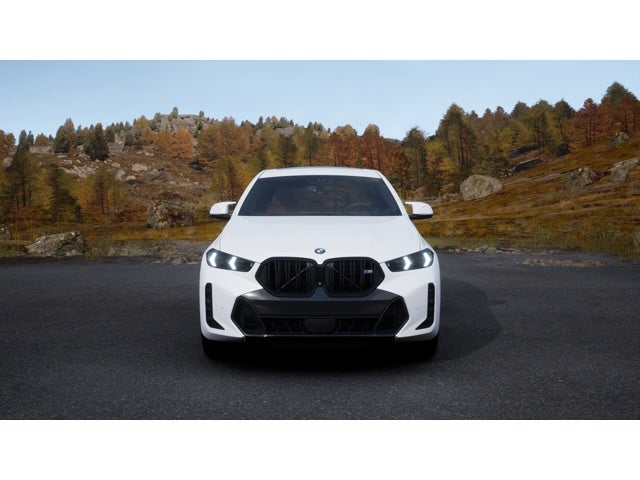 2027 BMW X6 M60i