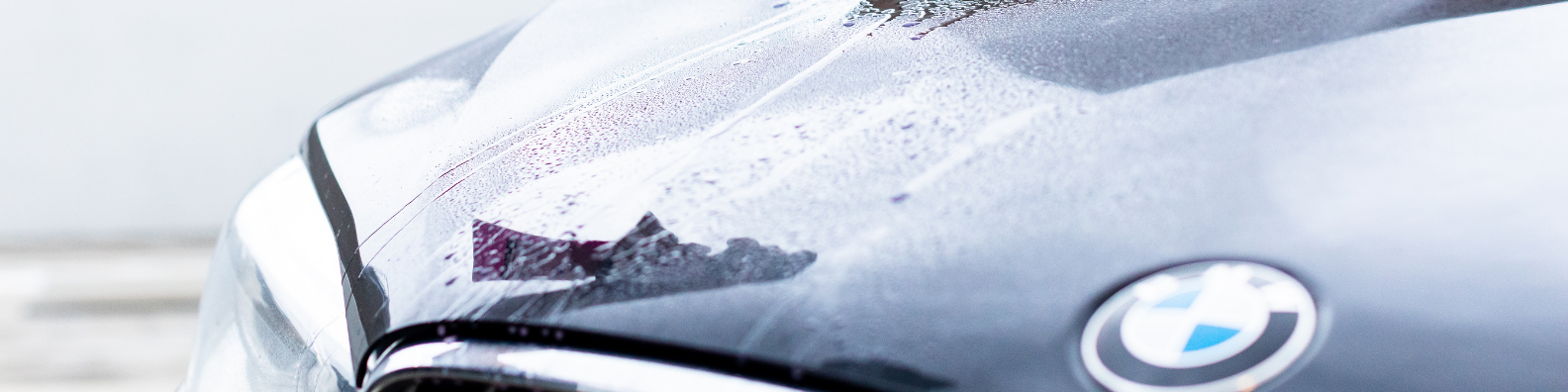 cleaning the hood of a car
