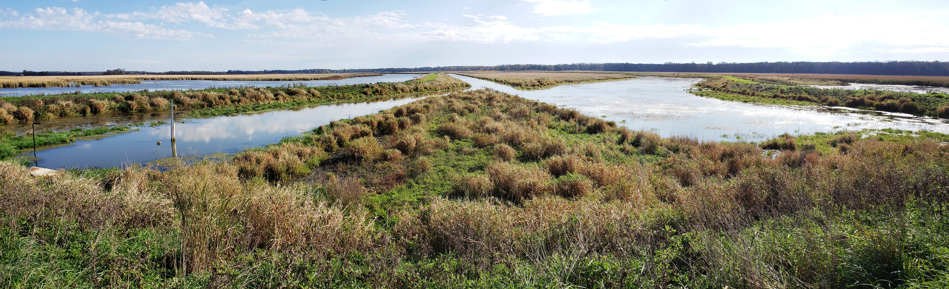 Shiawassee National Wildlife Refuge